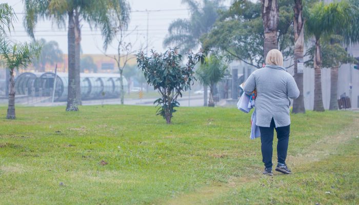  Julho começa com temperaturas negativas no Paraná, registra o Simepar